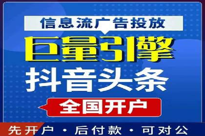 SEO与百度推广结合的营销策略——经典案例解析